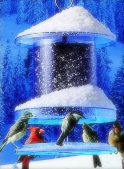 Songbird All-Weather Feeder 4 Or 6 Qt. 11 Songbird All-Weather Feeder 4 Or 6 Qt. -Pet Supplies Store snow 20all 20weather