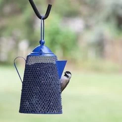 Teapot Bird Feeder- Peanuts/Sunflower