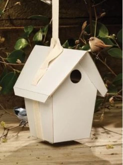 Totally Green Birdhouse Kit