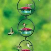 Triple Orb Glass Hummingbird Feeder -Pet Supplies Store triple orb glass hummingbird feeder