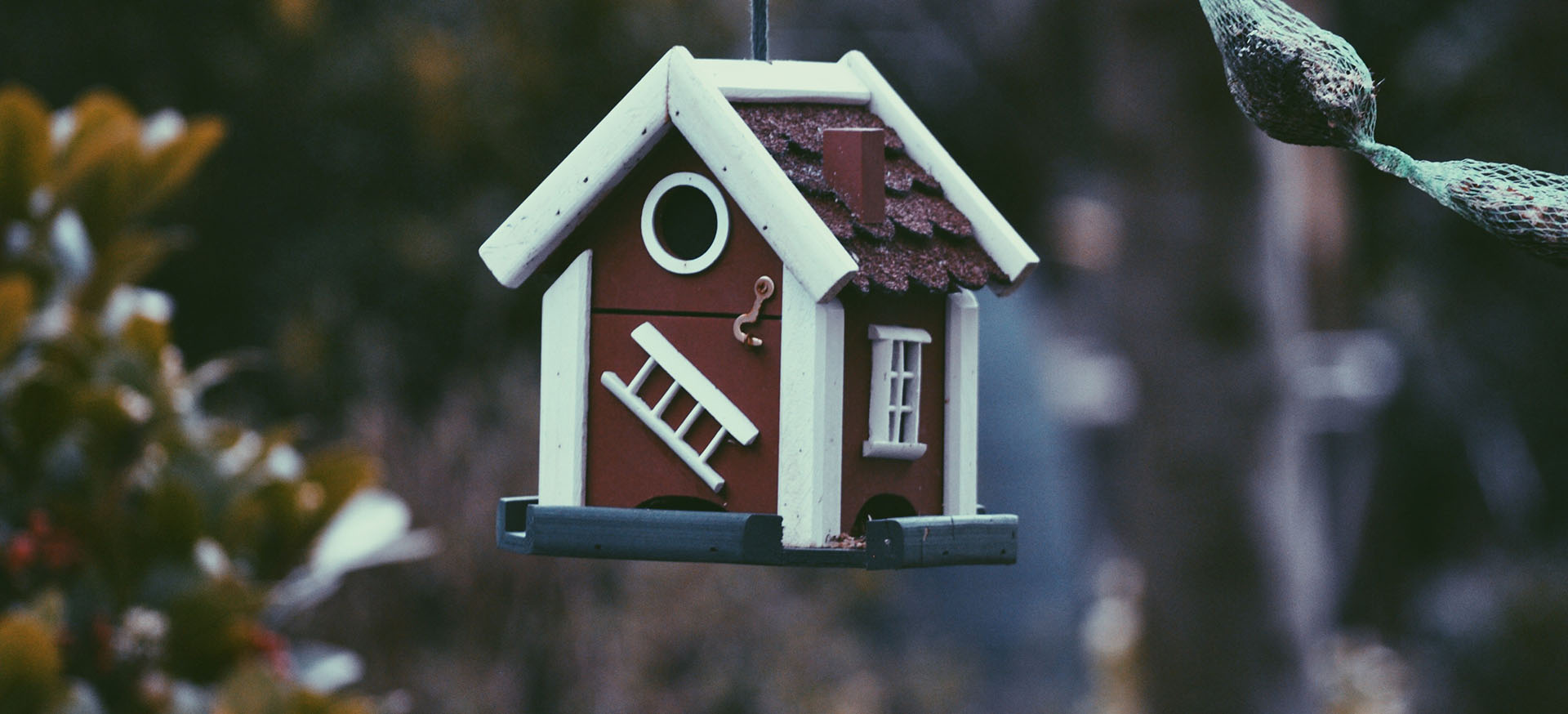 Pet Supplies Store 1 Pet Supplies Store -Pet Supplies Store photo 1490197415175 074fd86b1fcc